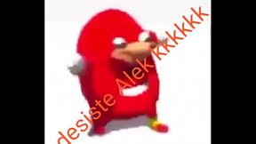 Alek cuckkkkkkkkkkkkkkkk