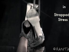 Strappado Stress