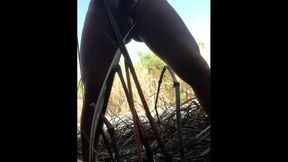 travesti brasileira, sabrina prezotte pornstar se exibindo e jorrando leite em publico...