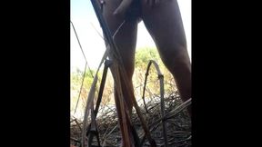 travesti brasileira, sabrina prezotte pornstar se exibindo e jorrando leite em publico...