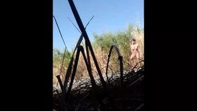 travesti brasileira, sabrina prezotte pornstar se exibindo e jorrando leite em publico...