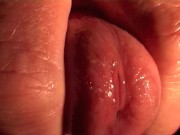 beautiful glans massage close-up (erotic art)