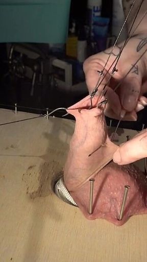 Hardcore CBT with Fishhooks and Needles