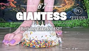 🔥 6’7” Giantess POV Birthday Cake Size 16 Foot Crush👣