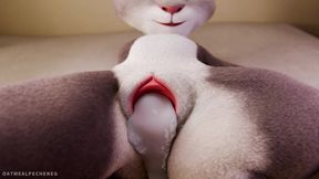 Judy Hopps Riding Your Dick Close-up