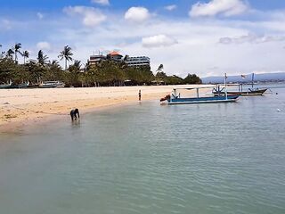 BIZARRE Public PEE from Boat at Tropical Beach Shore