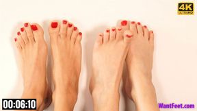 Pedicured Perfect Toes - 4K MP4