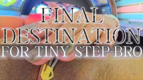 Final Destination For Tiny Step-Bro