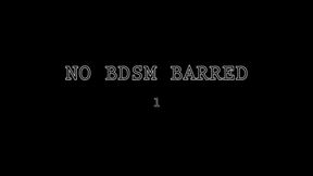 No BDSM Barred 1