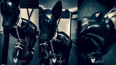 Latex Puppy Slave Worships Mistress Feet