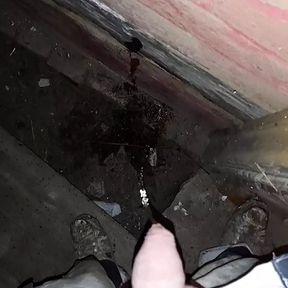 Pissing