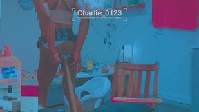 planter plus qu’une graine dans le potager