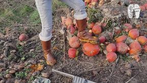 Rotten Food under Winter Boots