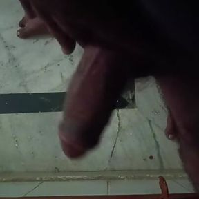 Girlfriend ke sath phone sex Huge Cock