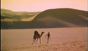 Desert Lovers Classic Movie