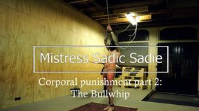 hard corporal punishment part two: the bullwhip.