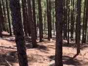 Public wank in Forrest with cum