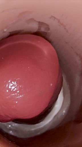 Must-share moment from &quot;Camera inside deep pussy captures huge ejaculation of sperm&quot;