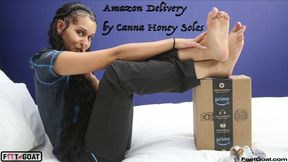 Amazon Package Delivery Woman Sockjob, Footjob, and Handjob with 2 cumshots!