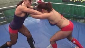 Pro Style vs Mutiny Wrestling MP4