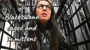 BlackSwann caged and in mittens