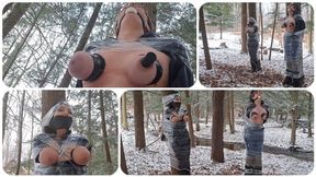 Busty broads saran wrapped to trees in the snow -struggling