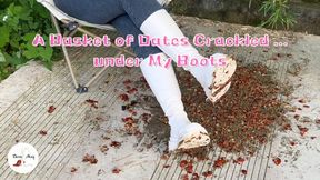 A Basket of Dates Crackled ... Under My Sexy Boots (ASMR)