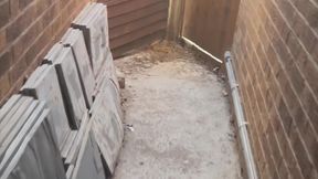 Window Open While Home Alone