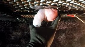 Locktober Caged Cock torture denial painful table play