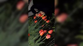 Invited next door for a flower show &mdash;  then got naughty&#x1F608; in the mouth)