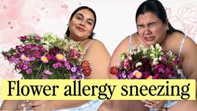 Flowers allergy sneezing