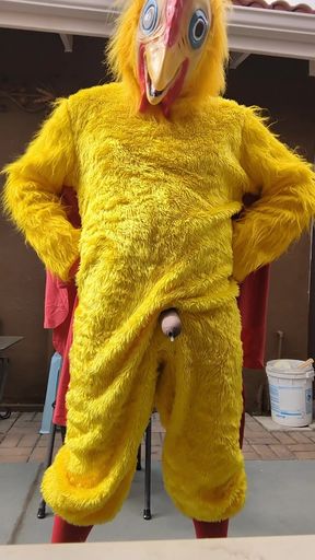 Chicken Costume Masturbating Outdoors