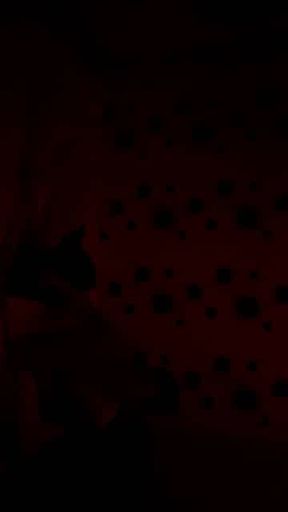 Innkeeper Bari Series