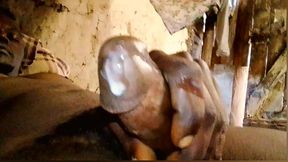 male fingering and masturbating time !