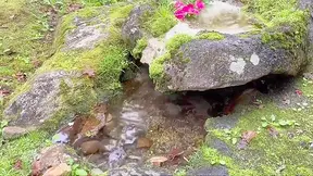 Jav Porn Video - Fallen Leaves Nipple Kiss in Kurokawa Onsen