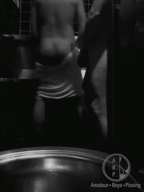 Public Toilets Encounter #2