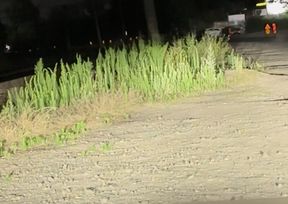 Side road, late night
