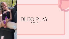 dildo play in the car