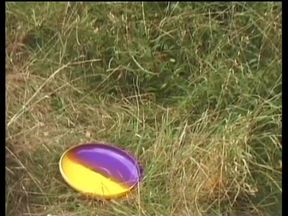 Come Cagne in Calore (Full Movie)