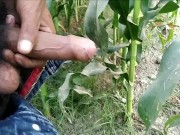 Indian boy masturbation and cumshot_Outdoor handjob