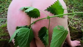 Nettle play on ass outdoors