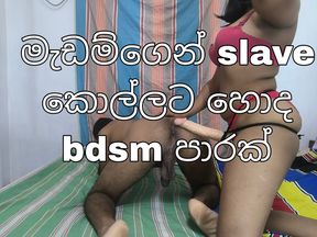 Srilankan mistress fuck her slave boy