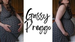 Gassy Preggo - A pregnant fart scene featuring Fart Fetish, Pregnant Belly, Belly Fetish and Gassy ft MILF Sassypantz