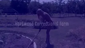 Outdoor Discipline for Brunette Submissive in Stockings