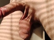 Dancing cock