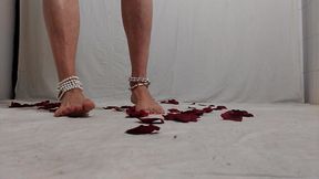 Shemale Feet