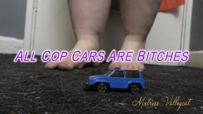 All Cop Cars Are Bitches (wmv)