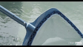 Blowjob, sædsprut, fittespising – lille petite MILF Liv pusset opp i strømper og høye hæler blir analknullet av Tyler Nixon
