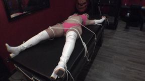 php-015 the adventures of lady pink