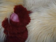 Pissing and cumming for you in fursuit